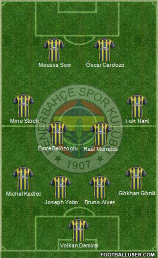 Fenerbahçe SK Formation 2013