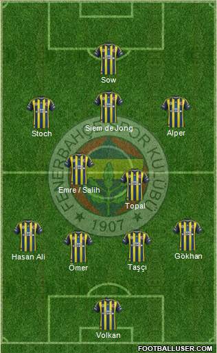 Fenerbahçe SK Formation 2013