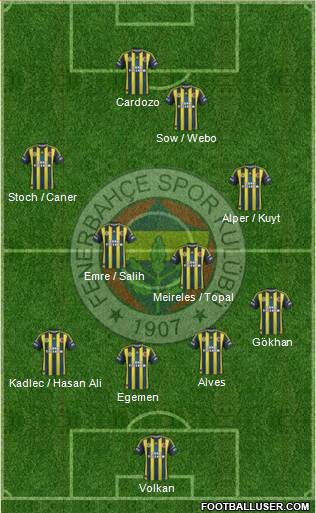 Fenerbahçe SK Formation 2013