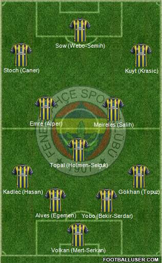 Fenerbahçe SK Formation 2013