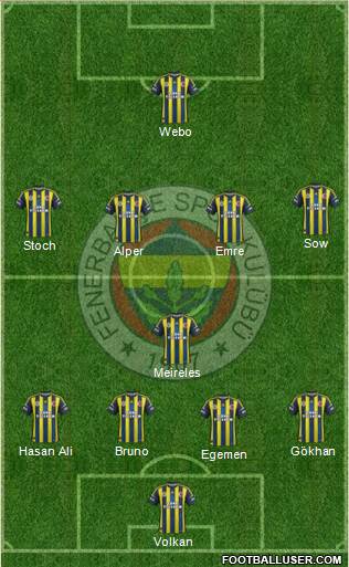 Fenerbahçe SK Formation 2013