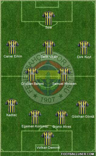 Fenerbahçe SK Formation 2013