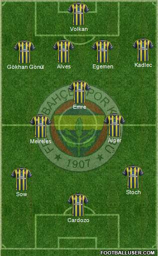 Fenerbahçe SK Formation 2013