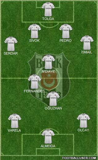 Besiktas JK Formation 2013