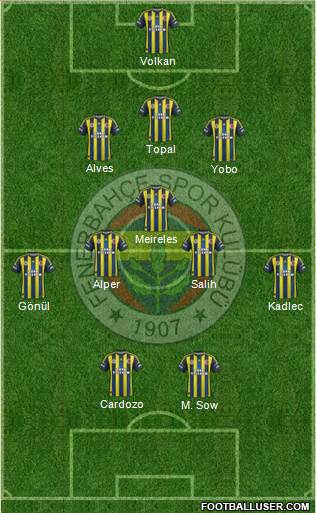Fenerbahçe SK Formation 2013