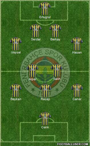 Fenerbahçe SK Formation 2013
