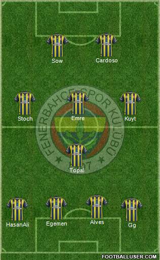 Fenerbahçe SK Formation 2013