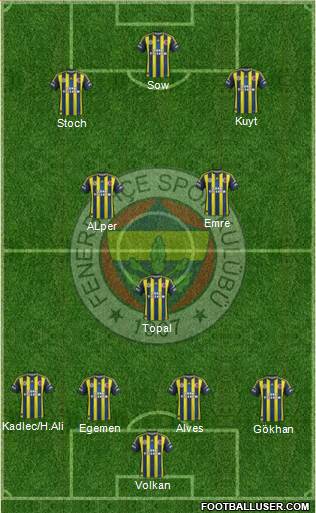 Fenerbahçe SK Formation 2013