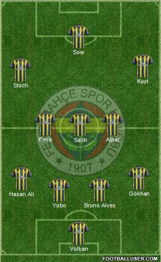 Fenerbahçe SK Formation 2013