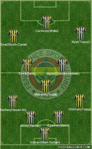 Fenerbahçe SK Formation 2013