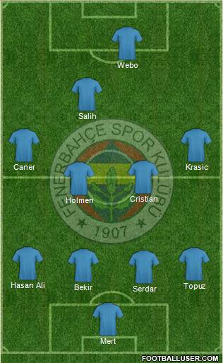 Fenerbahçe SK Formation 2013