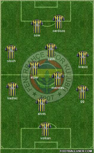 Fenerbahçe SK Formation 2013