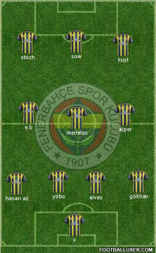 Fenerbahçe SK Formation 2013