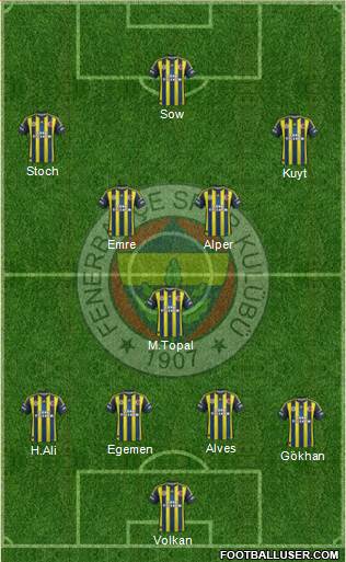 Fenerbahçe SK Formation 2013