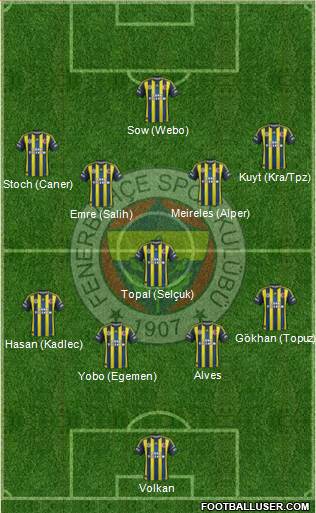 Fenerbahçe SK Formation 2013