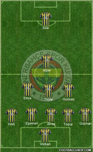 Fenerbahçe SK Formation 2013