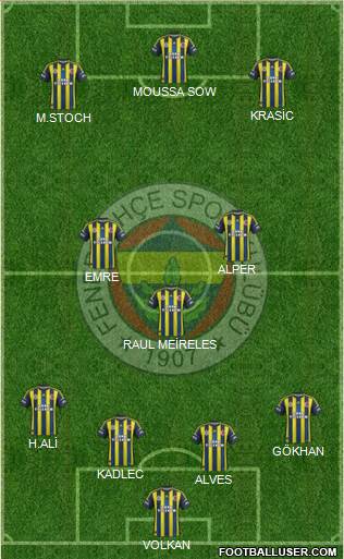 Fenerbahçe SK Formation 2013
