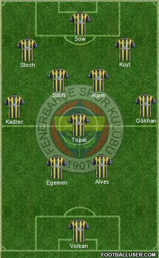 Fenerbahçe SK Formation 2013