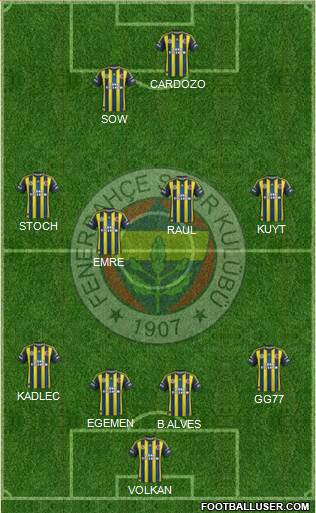 Fenerbahçe SK Formation 2013
