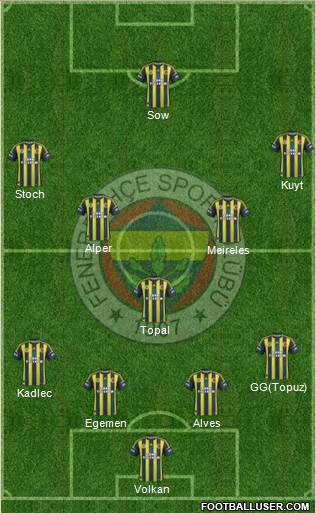 Fenerbahçe SK Formation 2013