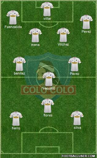 CSD Colo Colo Formation 2013