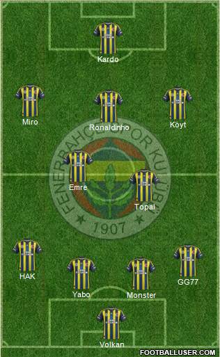 Fenerbahçe SK Formation 2013