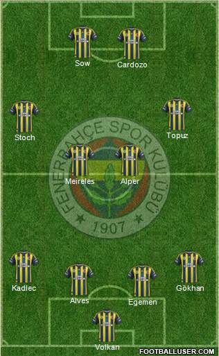 Fenerbahçe SK Formation 2013