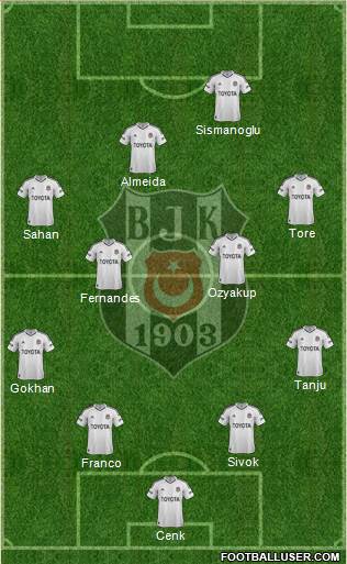 Besiktas JK Formation 2013