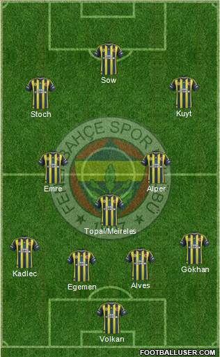 Fenerbahçe SK Formation 2013