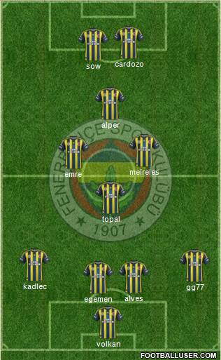 Fenerbahçe SK Formation 2013