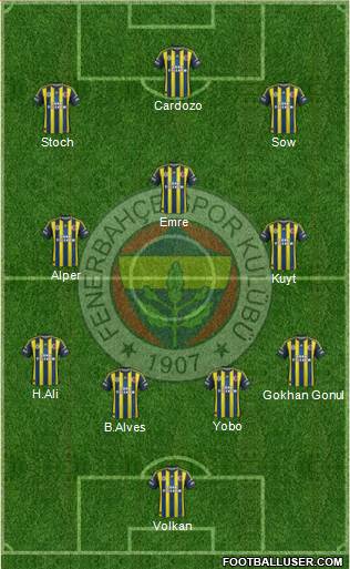 Fenerbahçe SK Formation 2013