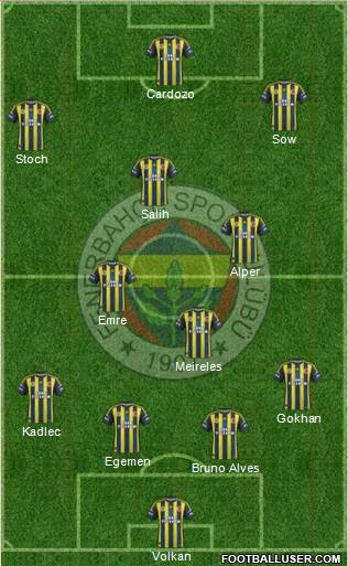 Fenerbahçe SK Formation 2013