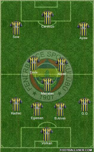 Fenerbahçe SK Formation 2013