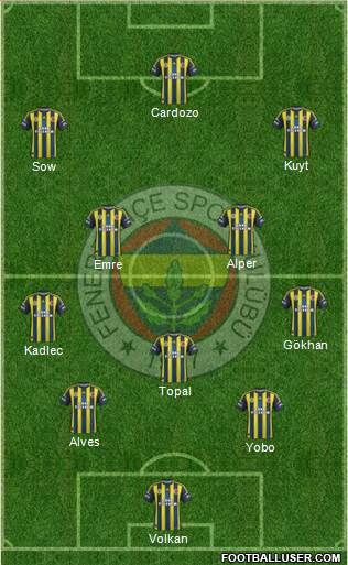 Fenerbahçe SK Formation 2013