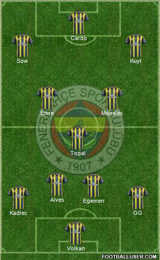 Fenerbahçe SK Formation 2013