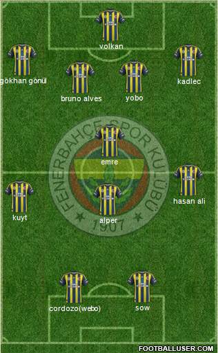 Fenerbahçe SK Formation 2013