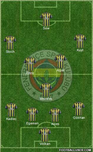 Fenerbahçe SK Formation 2013