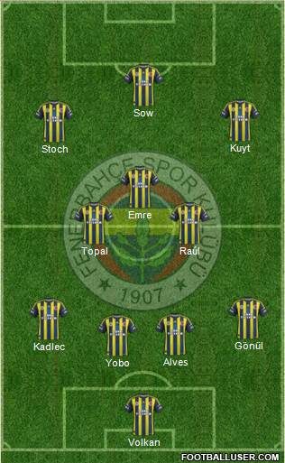 Fenerbahçe SK Formation 2013