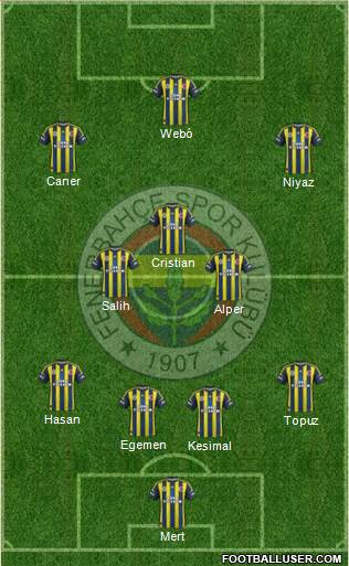 Fenerbahçe SK Formation 2013