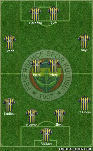 Fenerbahçe SK Formation 2013