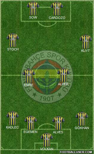 Fenerbahçe SK Formation 2013