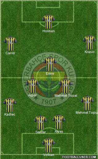 Fenerbahçe SK Formation 2013