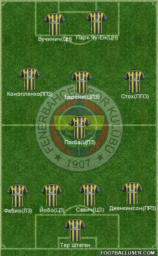 Fenerbahçe SK Formation 2013