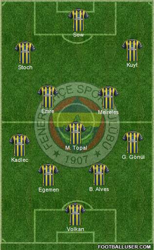 Fenerbahçe SK Formation 2013