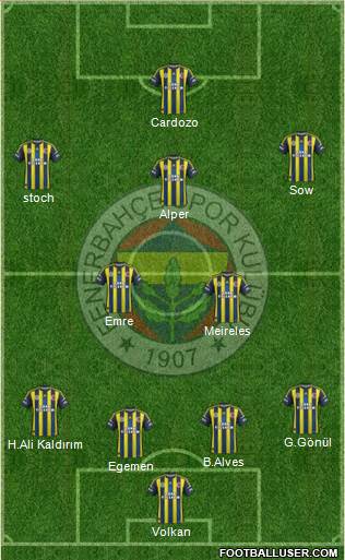 Fenerbahçe SK Formation 2013