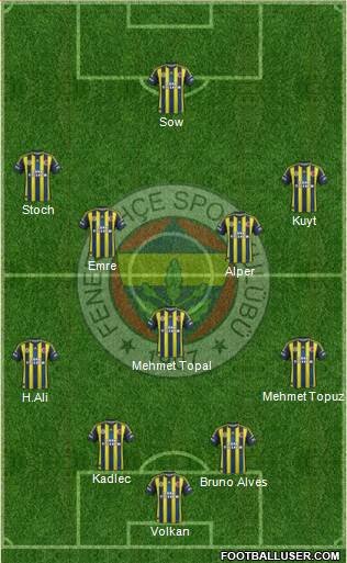 Fenerbahçe SK Formation 2013