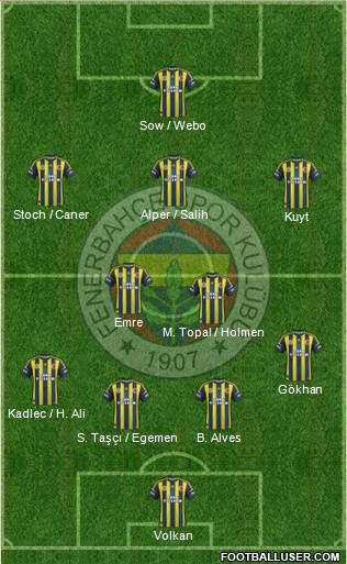 Fenerbahçe SK Formation 2013