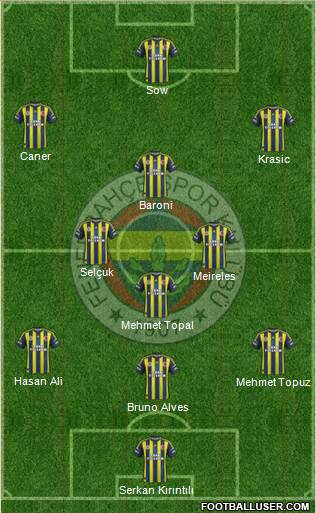 Fenerbahçe SK Formation 2013