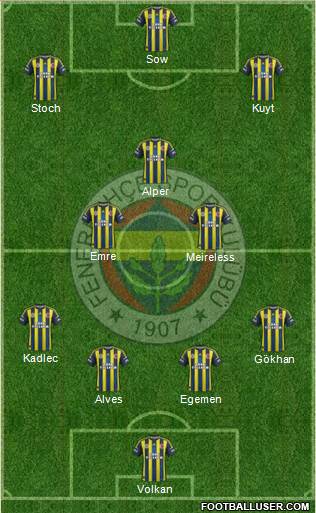 Fenerbahçe SK Formation 2013
