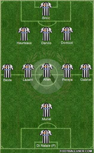 Udinese Formation 2013